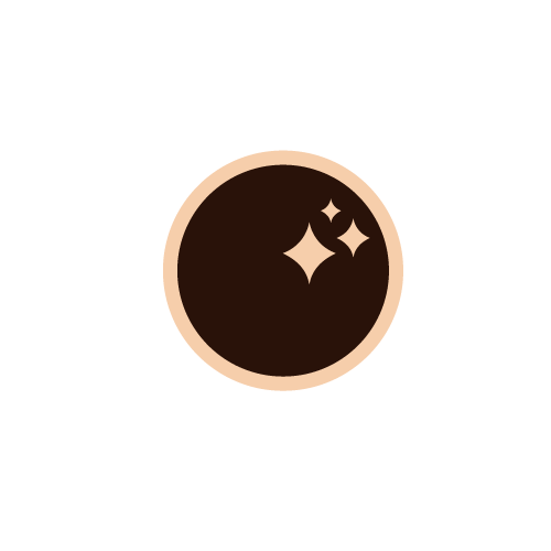 icon mit Kreis und Funkeln als Symbol 