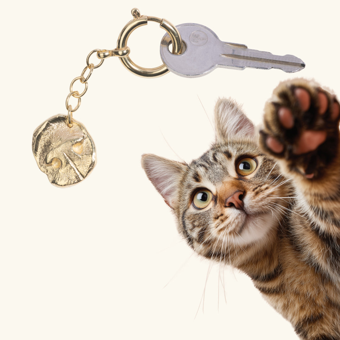 Freisteller von Katzenase als  Schluesselanhänger in Messing vergoldet