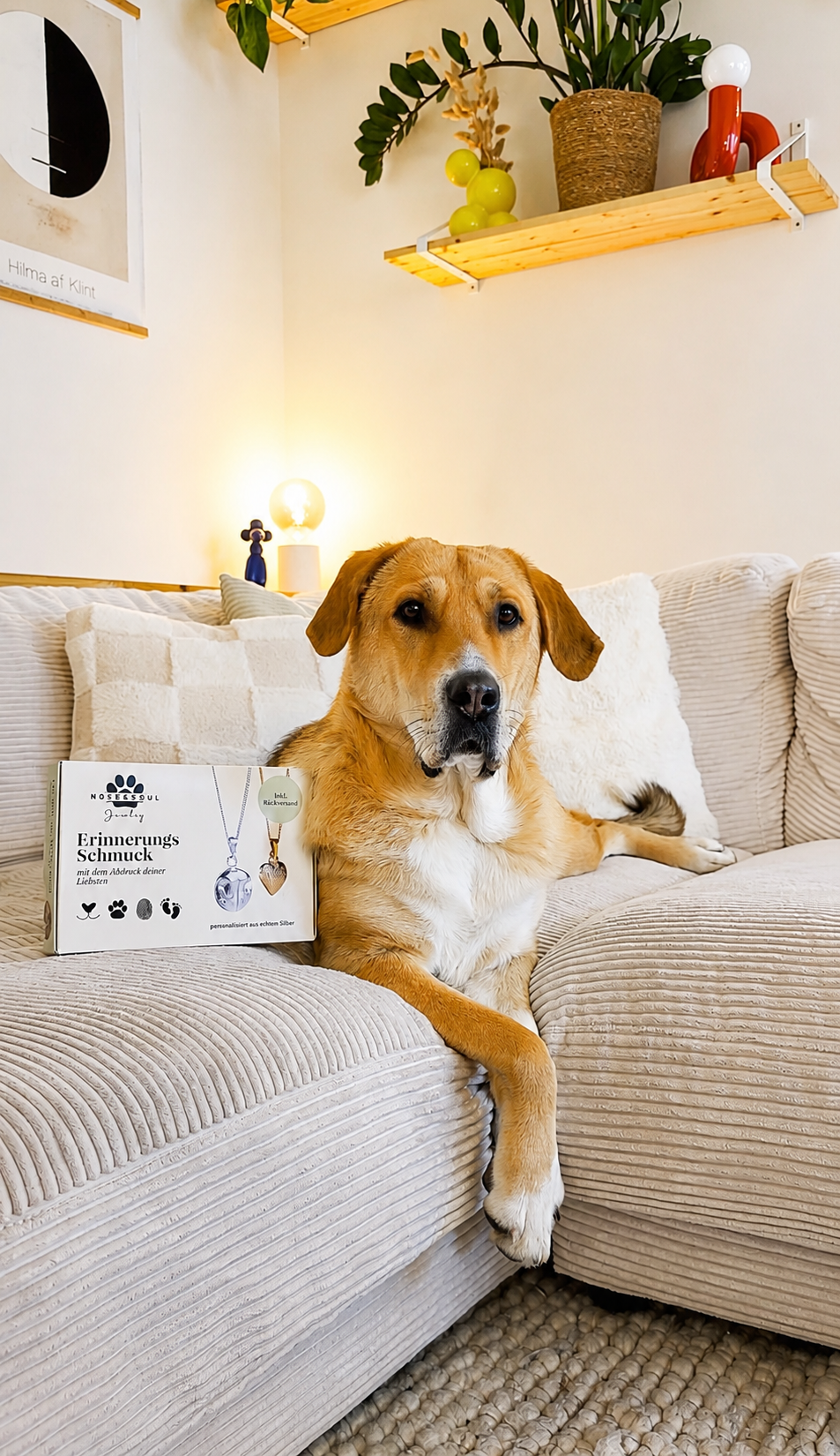 Hund mit Abdruck Set im Wohnzimmer nose and Soul