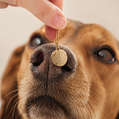 Hundenase silber vergoldet natur Halsketten Anhänger hund
