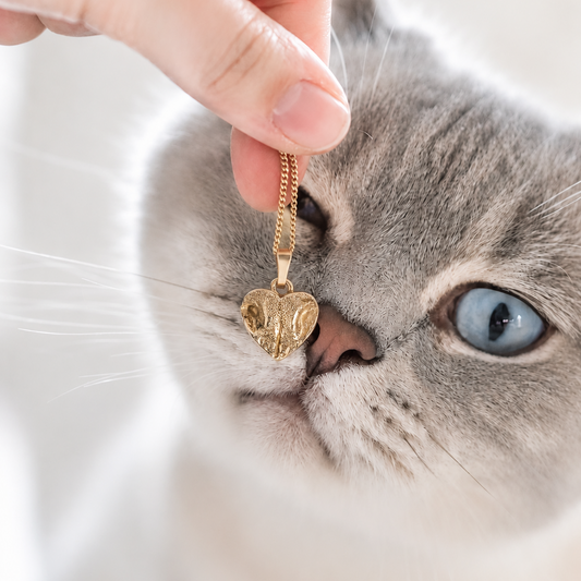 Katzennase als Halsketten Anhänger in herzform Silber vergoldet mit Katzennasen abdruck 