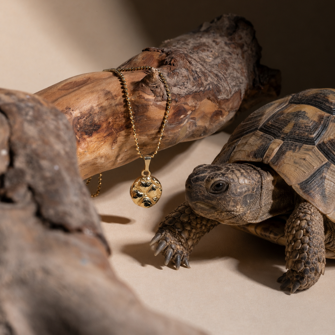 Schildkröte verewigt als Schmuckstück von nose and Soul jewelry