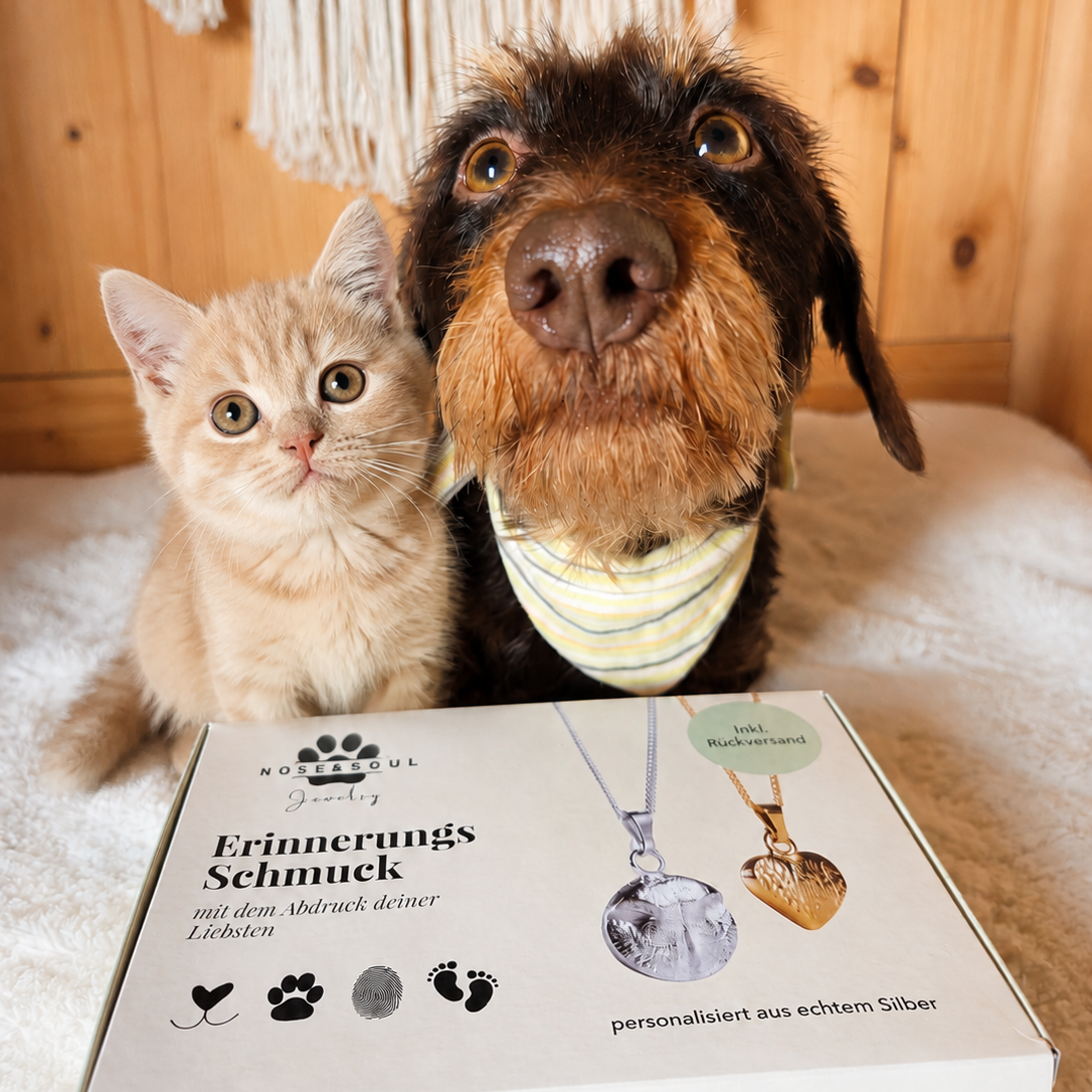 Abdruck-Set als Geschenk inkl. 30€ Rabatt